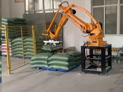ESTUN Automatische palletiserrobot voor het palletiseren van zakken